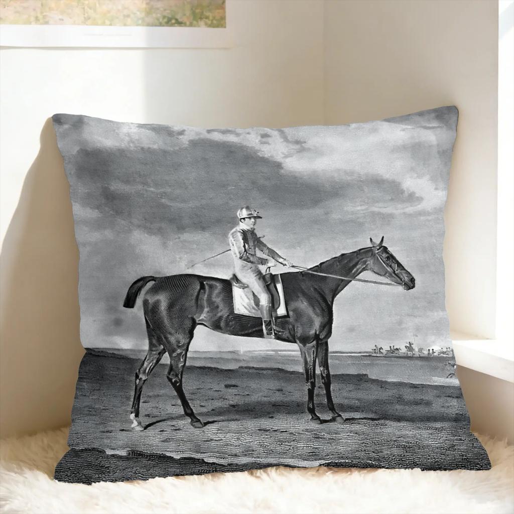 Pillow Cover Equestrian Kawaii Pillow Case For Sofa Car Home Decor Pillowcases