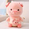 Internet Celebrity Doll Bubble Camera Pig Doll Plush Toy Cute Rag Doll Company Gift