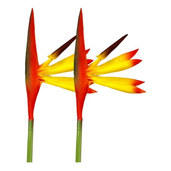 

2шт поддельные цветы яркие многоцелевые портативные красивые райские птицы для балкона жёлтый