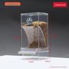 Anti-Spill Splash-Proof Hanging Bird Feeder for Parakeets and Cockatiels