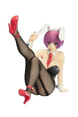 Seltene Auswahl 2010 Winter Illustriert von Kohaku Sumeragi Minori Aiba Maßstab PVC bemalte fertige Figur V.I.P 1/7