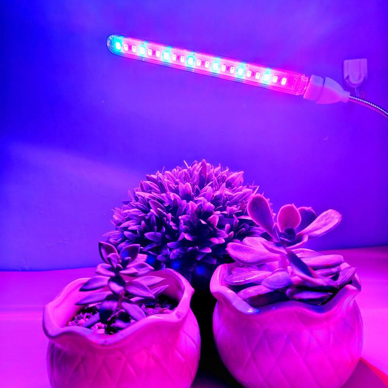 LED světlo pro rostliny, růstové světlo, USB, domácí zelená rostlina, květina, sazenice, plné sukulentní doplňující světlo