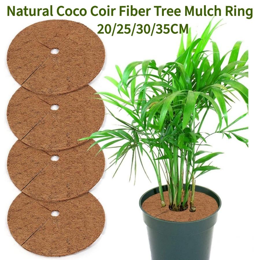 20/25/30/35cm 3PCS Fibre de Coco Naturelle Anneau Paillage Arbre Protecteur Tapis Organique pour Intérieur Extérieur Disque Cache-Plante Pot de Fleur