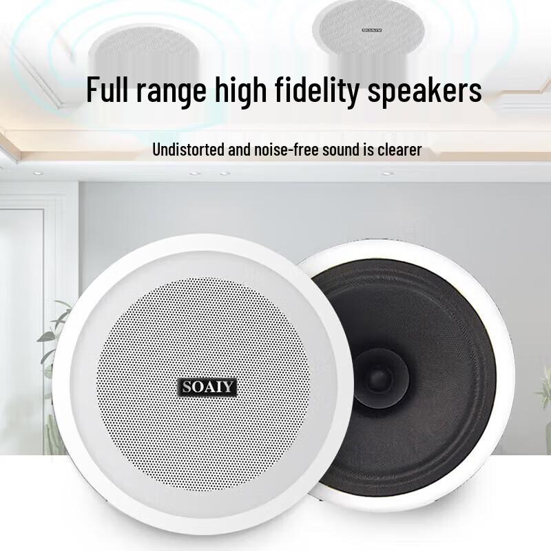 Soaiy SA-9005Y Bluetooth Ceiling Speaker System CN Plug (adapter Included)