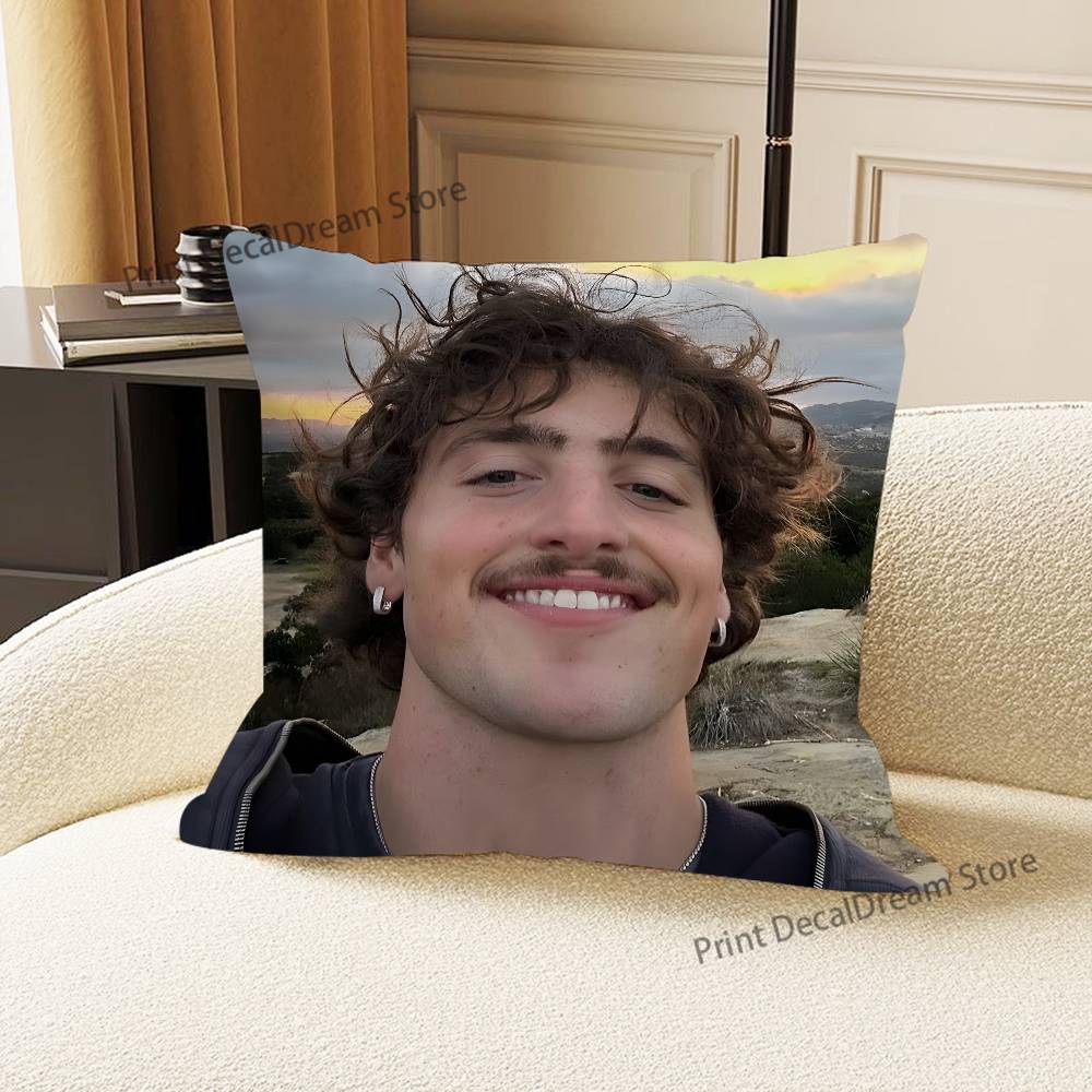 Singer B-Benson B-BooneS Pillow Case Ultra Soft Skin Friendly Fabric Cloud Like Comfort & Concealed Zipper