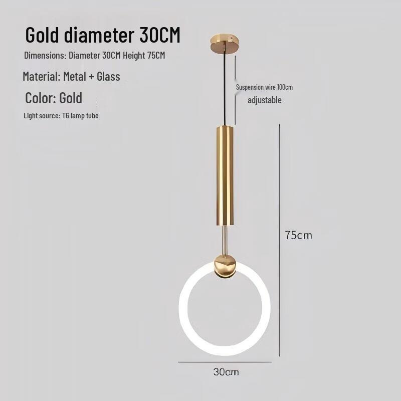 Modern Minimalist LED Ring Pendant Light 30cm