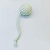 Sisal Balls for Cats Teasing Indoor Exercising Enrichment Cats Chew Toy Hunting Teething Cats Teasing Supply 6PCS