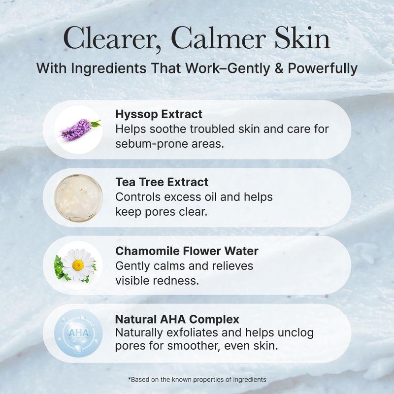 arencia Hyssop Sebum Control Rice Cake Cleanser 150g