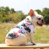 Lovely Puppy Beach Shirt Shirt T-shirt Shirt Pineapple Beach Outfit Shirt  Costume Pet Outfit Party