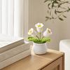 Woven Potted Plant, Handmade Wool 3D Texture Crochet Flower with Flowerpot, No Maintenance Home Decor