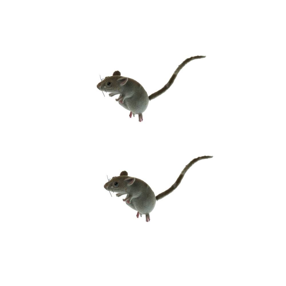 1/2pcs Realistic Mouse Animal Ornament Fridge Magnet Mice Toys Outdoor Garden Flower Pot Craft Decoration