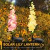 2/4Pcs Outdoor Solar Delphinium LED Light Colorful/Warm Light Solar Garden Lights IP65 Waterproof Yard Decor and Gift for Mother