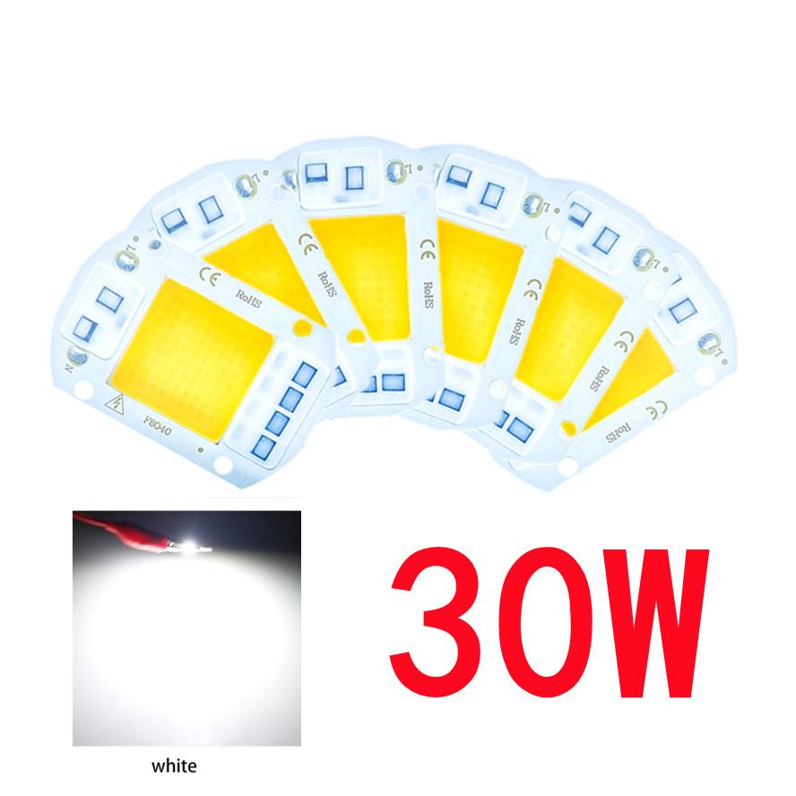 LED COB lamp Bead 20W 30W 50W AC 220V 240V IP65 Smart IC No Need Driver DIY Flood light Led Bulb Spotlight Outdoor Chip