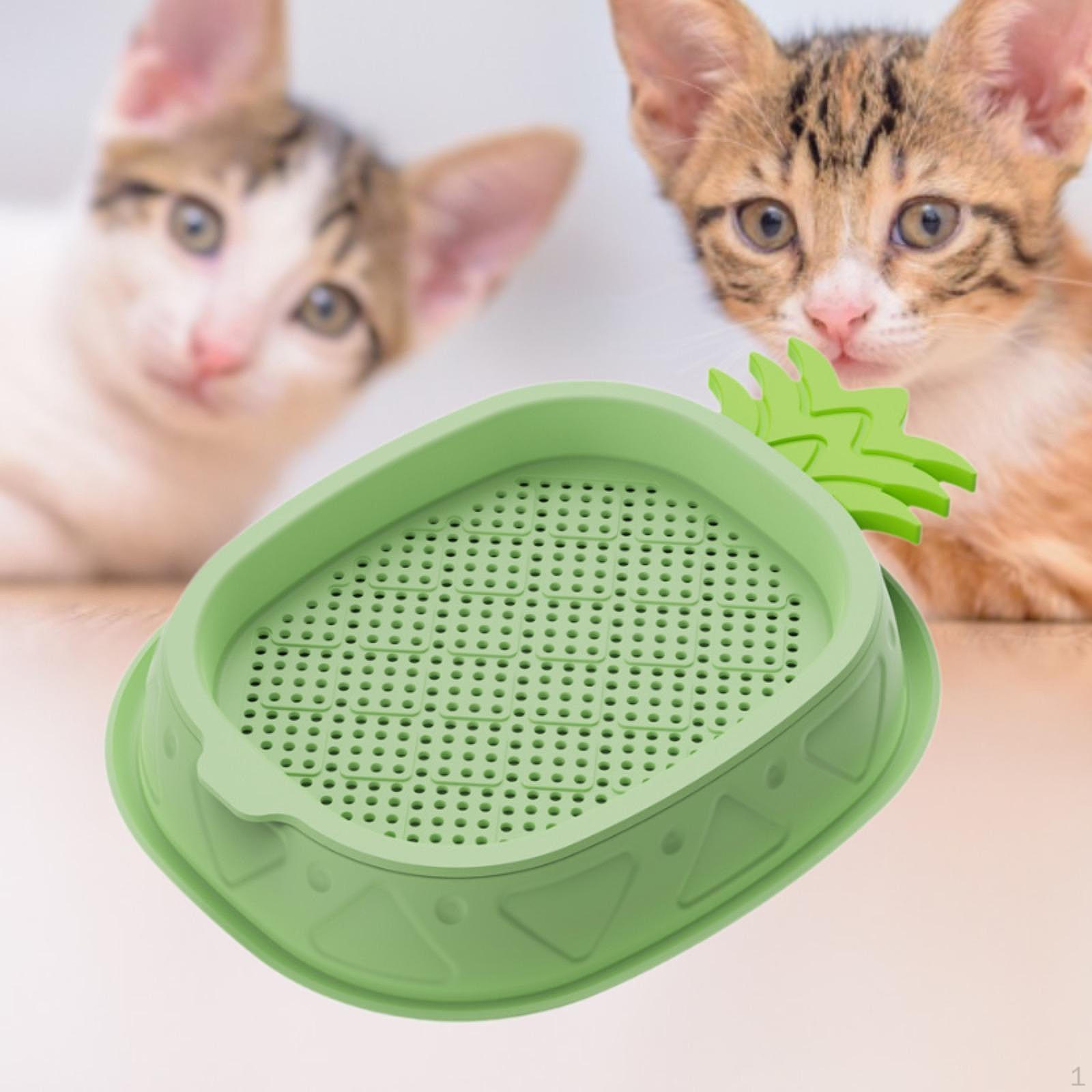 

Кашпо для кошачьей травы для выращивания в помещении зелёный