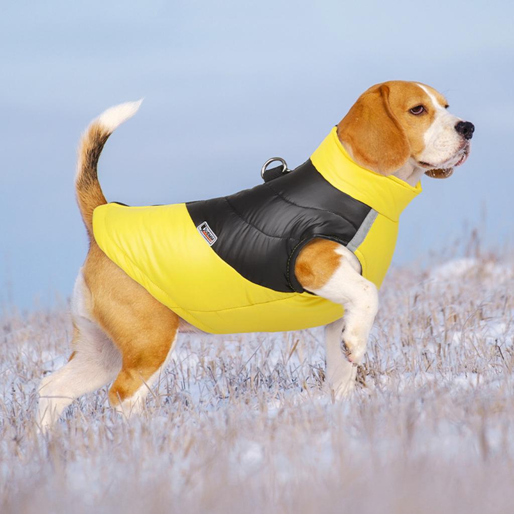 Hund Katze Jacken Wasserdichter Mantel Haustier Kätzchen Winter Warme Kleidung Bekleidung für Kleine Mittelgroße Große Hunde Katzen Winterbekleidung