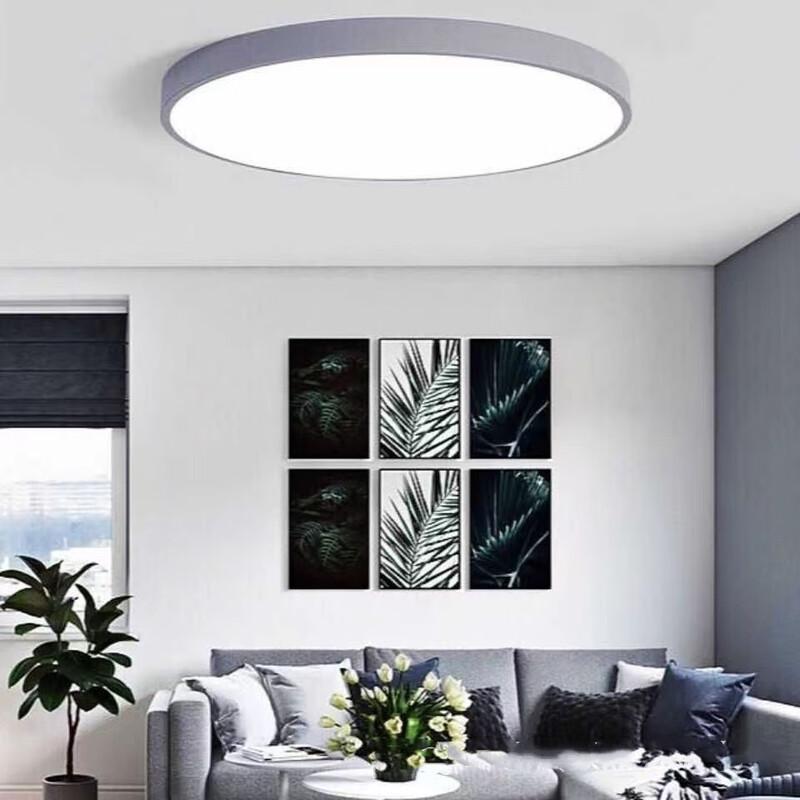Nordic LED Round Ceiling Light