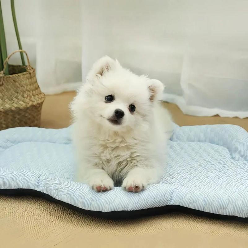 Summer Cloud Shape Cooling Pet Mat Bubble Textured Breathable Soft Washable Cushion Indoor Kennel Sofa Bed For Cat Dogs Puppie
