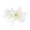 Multicolor Lily Flower Hair Clip Bohemian Style Hawaii Headdress  Fashion Accessory