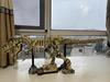 Zmart MOC Tyrannosaurus Rex Fossil Skeleton Model, Dinosaur Model, Skeleton Replica, Tyrannosaurus Dinosaur Figure Display, Fossil Interior Object,