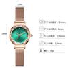 RORIOS Women's Watch Waterproof Fashionable Peacock Green Quartz Analog Steel Mesh Band Simple Casual Student Wrist Watch Green