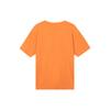 Nike Acg T Shirt DJ3643-885