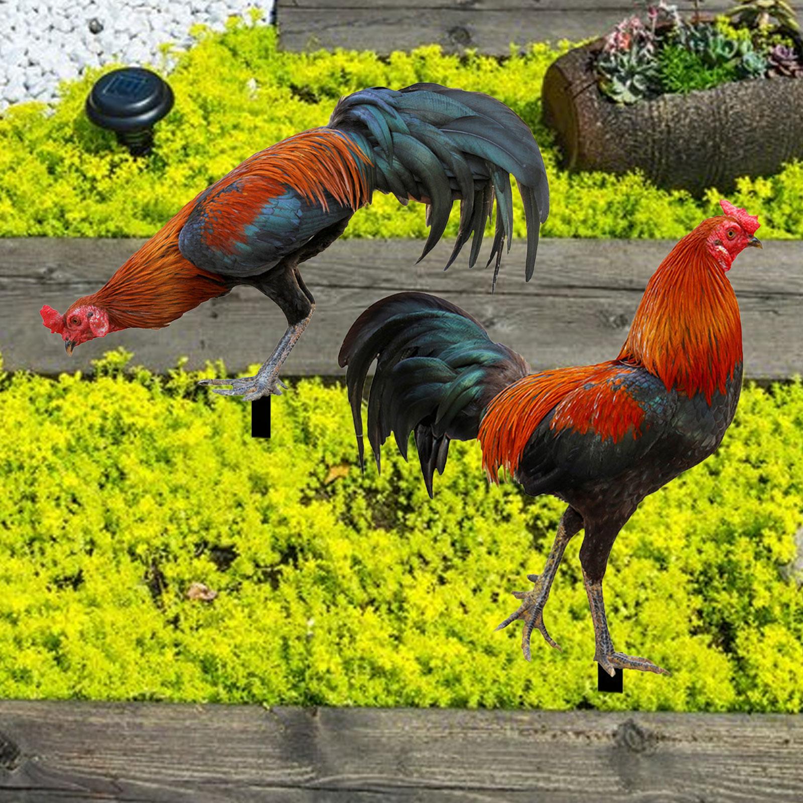 

Rooster Garden Stake Garden Decoration Gifts Yard Stakes Easy to Use Acrylic Figurine for Fence Porch Lawn Garden Outdoor