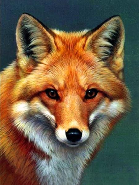 5D Diamond Painting Cross Stitch Animals Diamond Embroidery Fox Full Round Rhinestone Pictures Home Decor