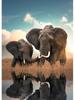 Wildlife Elephant Family Posters Canvas Painting Animal Father Mother Baby Love Wall Art Picture For Modern Room Home Decoration