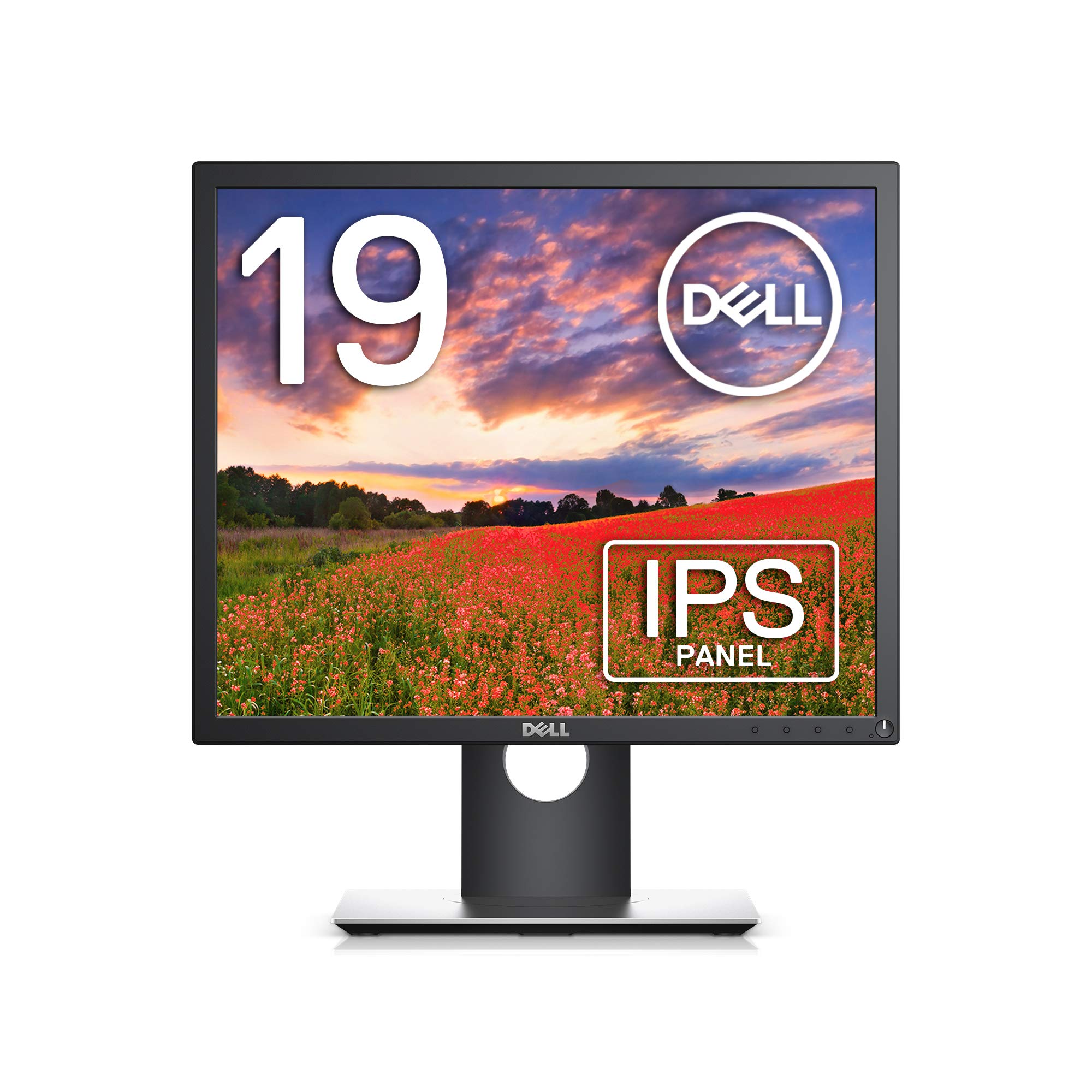 

Dell P1917S 19-inch monitor display (3-year no bright spot replacement warrantySXGAIPS matteDisplayPort HDMI D-Sub15 pinverticalhorizontal rotation
