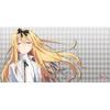 Bushiroad Rubber Mat Collection V2 The Strongest Sage from Commonplace Vol.1446 Yue World's