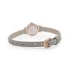 TAX TS2201B Gray Women's Watch,