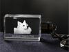 American Eskimo Dog, American Spitz - Crystal key ring with dog photo, illuminated key ring, unique gift by Art-Dog brand
