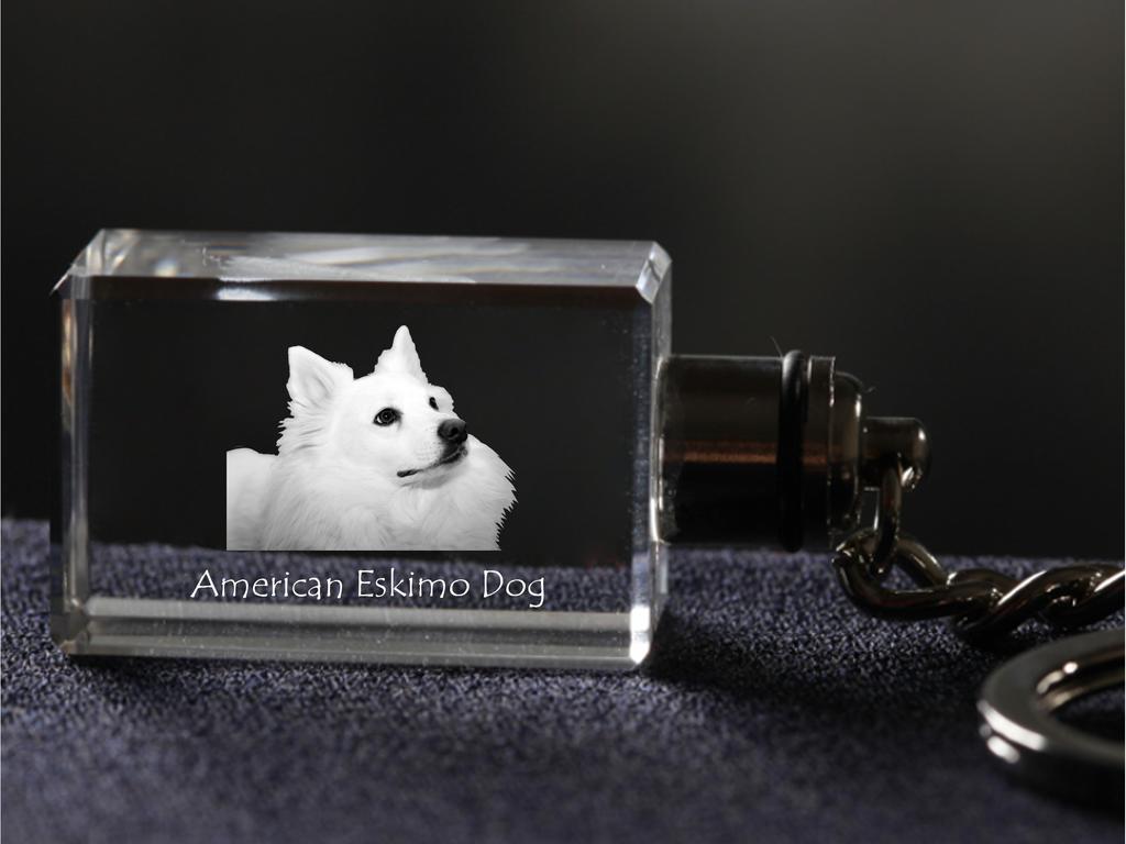 American Eskimo Dog, American Spitz - Crystal key ring with dog photo, illuminated key ring, unique gift by Art-Dog brand