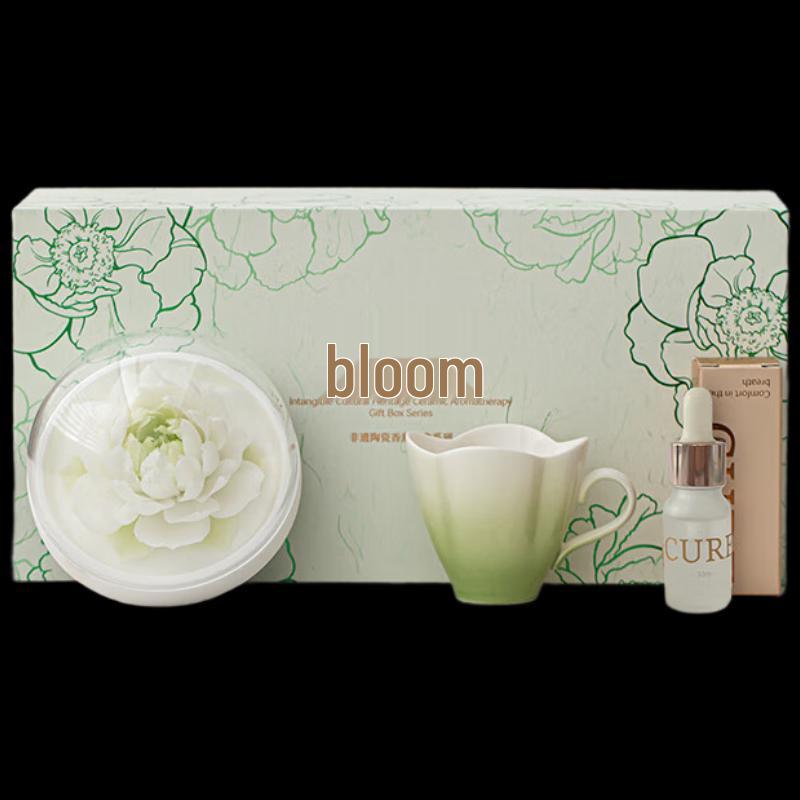 Elegant Light Green Gradient Ceramic Tea & Aroma Gift Set