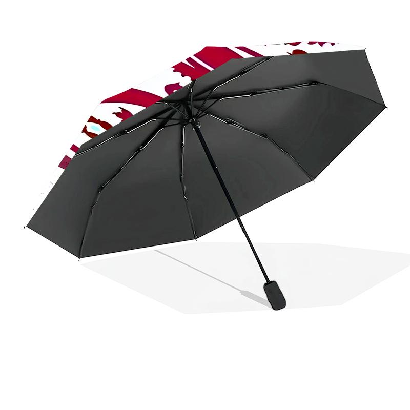 EnglCoat Of Arms Automatic Folding Umbrella - 8-Rib Travel Umbrella with Auto Open/Close & Portable, Gift for Christmas, Birthdays