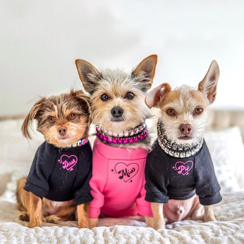 Luxury Rhinestone PU Leather Adjustable Pet Collar Dogs Cats Fashion Jewelry All Sizes