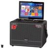 TEMEISHENG Portable KTV Karaoke Speaker System with Screen CN Plug (adapter Included) (CN Version)