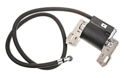 Ignition Module B&S 7-17Hp Bottom Valve ; Cth160 490007