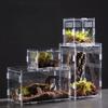 Anti-Escape Lizard Breeding Box Acrylic Small Pet Cage New Spider Feeding Case  for Chameleon
