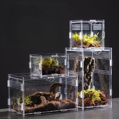 Reptilien – Reptilien-Terrarien