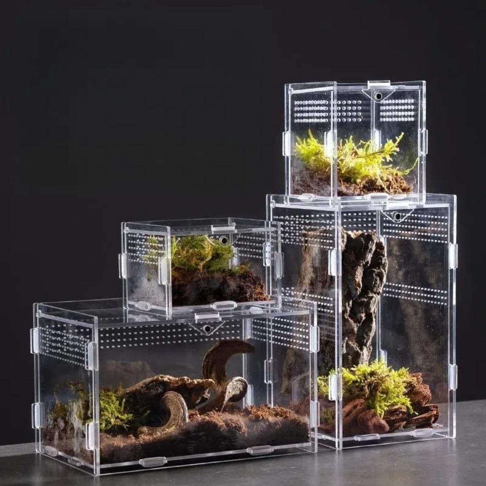 Anti-Escape Reptile Habitat Clear Spider Feeding Case Durable Lizard Breeding Box  for Chameleon