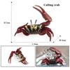 Oenux Ocean Starfish Sea Anemone Coral Jellyfish Squid Shrimp Crab Shark Animals Model Action Figures PVC Miniature Kid Toy Gift