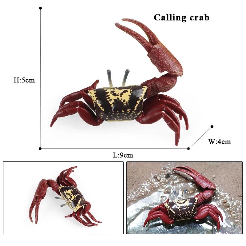 Oenux Ocean Starfish Sea Anemone Coral Jellyfish Squid Shrimp Crab Shark Animals Model Action Figures PVC Miniature Kid Toy Gift