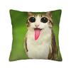 Pillow Cover Green Fruit Space Cat  Fashion Pillow Case For Sofa Home Decor Pillowcases
