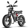 FAFREES F20 Ultra Electric Bicycle 750W Motor, 48V 25Ah Battery, 20*5.0 Inch Fat Tire, Hydraulic  Brakes, 80-100KM Range, Double Suspension E-Bike