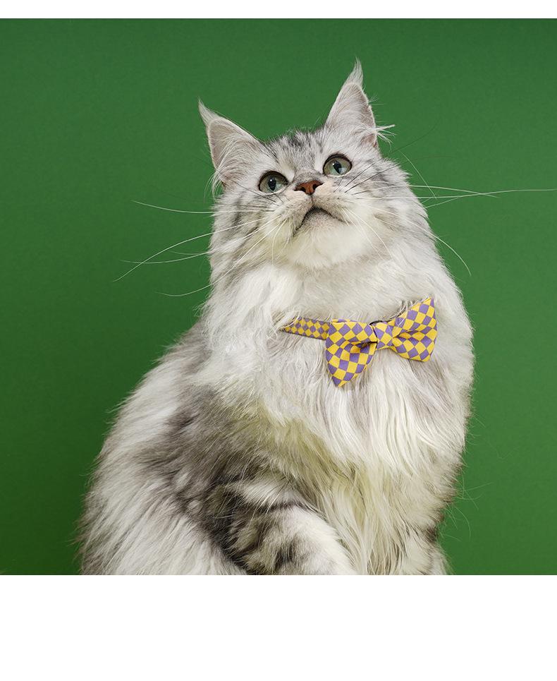 Pohledný kostkovaný límec s motýlkem Zeze Pet – Roztomilá kočičí internetová série celebrit.