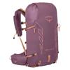 Women's Backpack Tempest Velocity 30