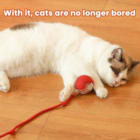 Cat Interactive Ball Toy Automatic Rolling 3 Modes Cat Toy Ball USB Charging Cat Self-Play Ball with Rope for All Indoor Cats