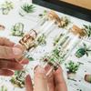 50 Zielonych Roślin Naklejki PET DIY Etui na Telefon Komórkowy Ręczne Lodówka Notes Deskorolka Przezroczyste Wodoodporne Naklejki