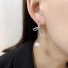 S925 Silver Needle Zircon Tassel Earrings: Fashionable, Luxurious, and Exquisitely Simple for Women